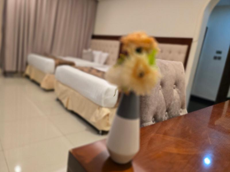 Dar Al Wedad Hotel - Oda