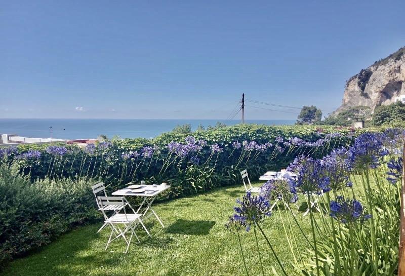 Villa La Pergola Capri - Genel