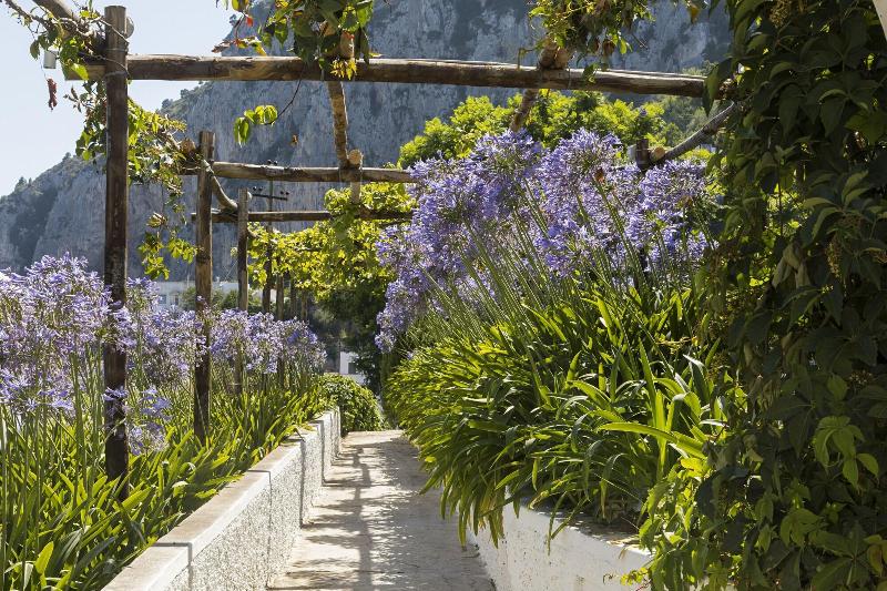 Villa La Pergola Capri - Genel