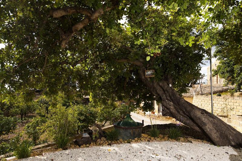 Villa La Lumia B&B Suites & Apartments - Genel