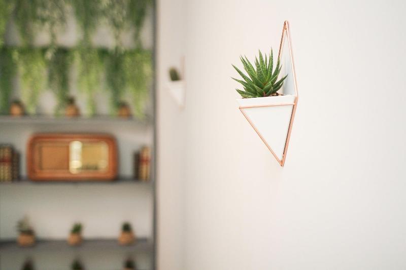Rudiae Boutique - Lobi