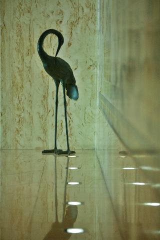 Turim Europa Hotel fotoÄŸrafÄ±