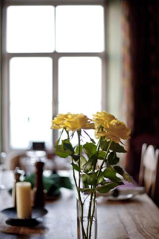 North Walk House - B&B fotoÄŸrafÄ±