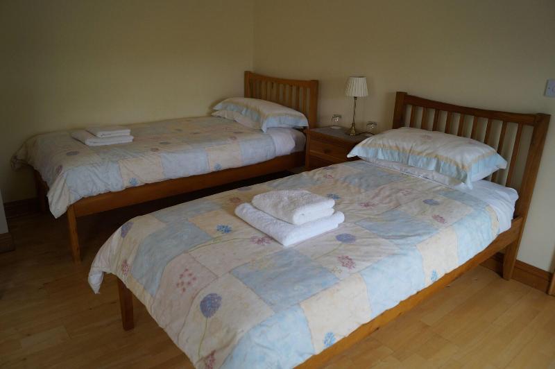 Kilcreeny Lodge - Oda