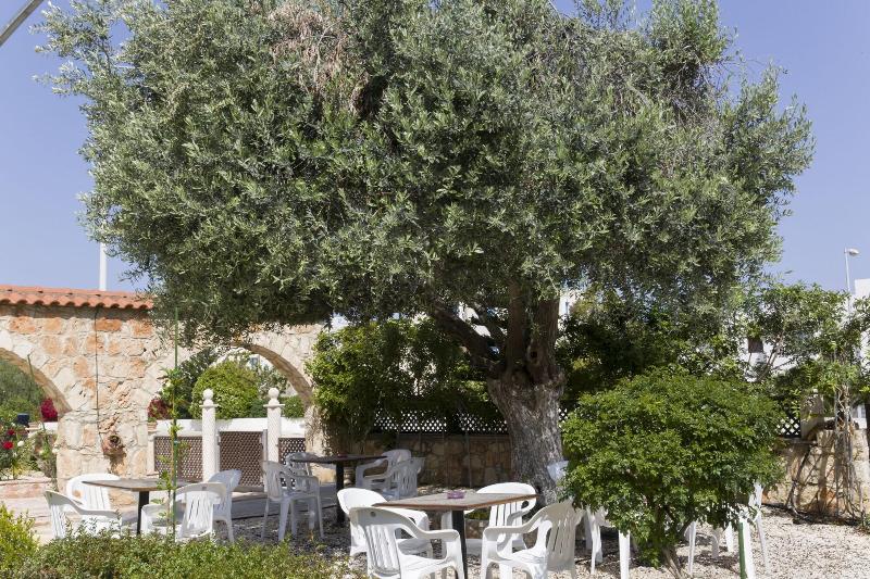 Eliofos Elegant Maisonettes - Teras