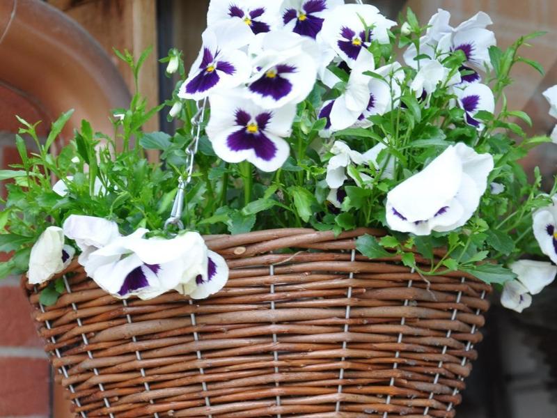 The Hayloft B&B - Genel