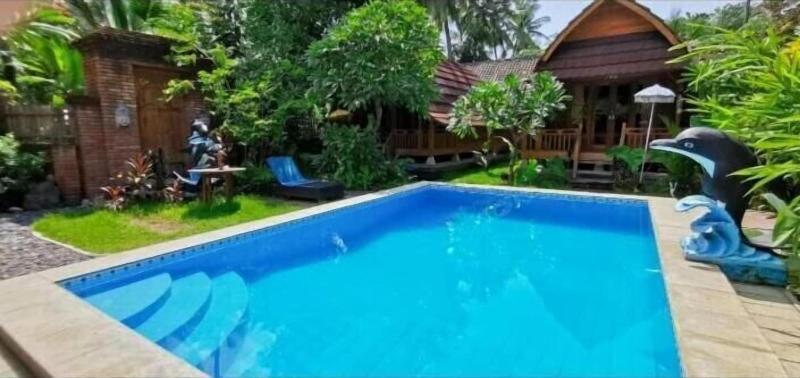 Halumba Eco Villa - Aktivite