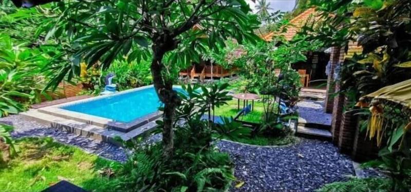 Halumba Eco Villa - Aktivite