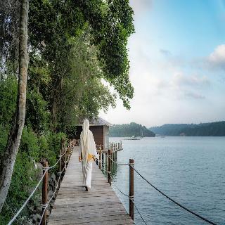 The Hawk's Nest Resort fotoÄŸrafÄ±