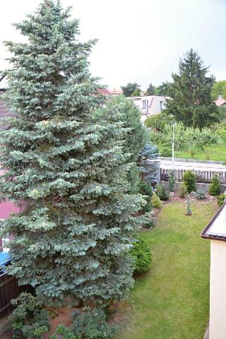 Vila Bohemia fotoÄŸrafÄ±