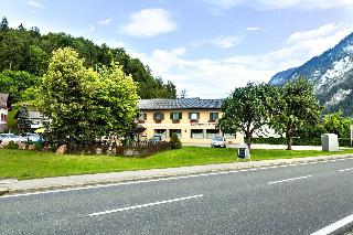 Metzgerwirt Vieh Heli fotoÄŸrafÄ±
