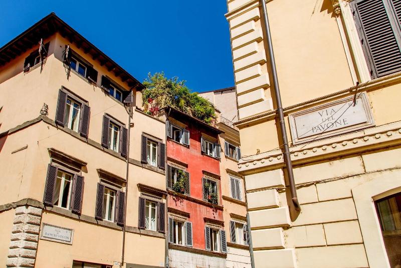 Palazzo Medusa - Genel