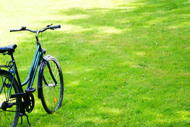 Villa Kastania - Aktivite