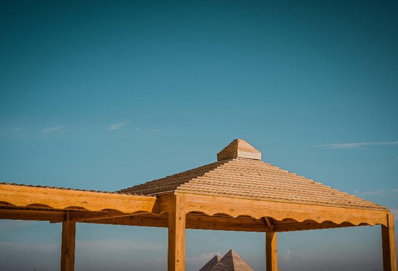 Desert Moon - Genel