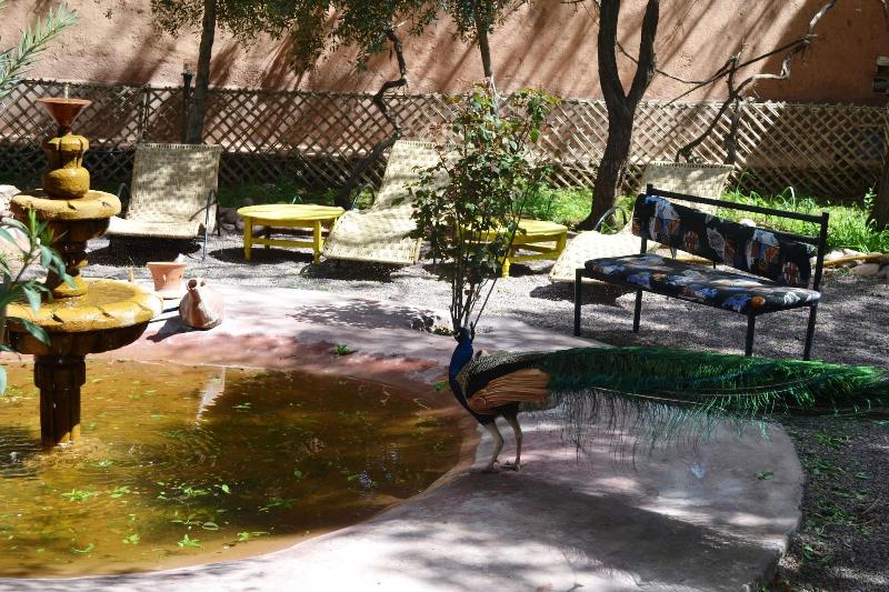 Ecolodge - La Palmeraie - Genel