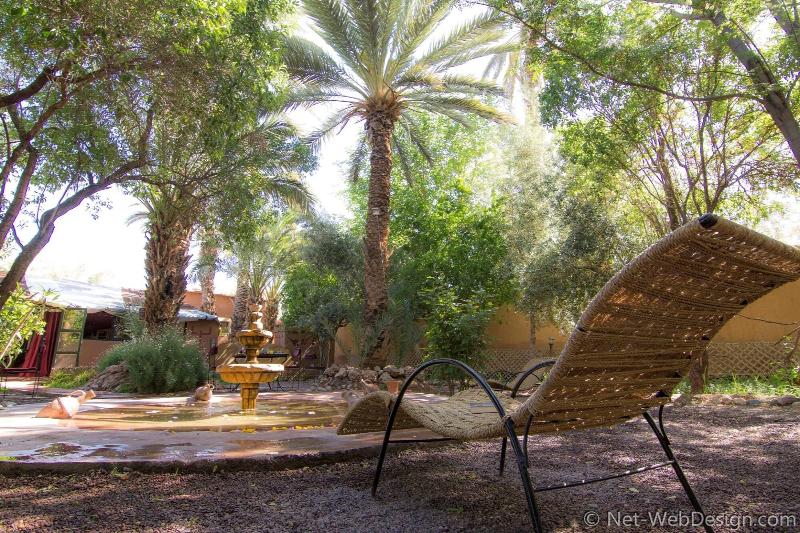 Ecolodge - La Palmeraie - Genel