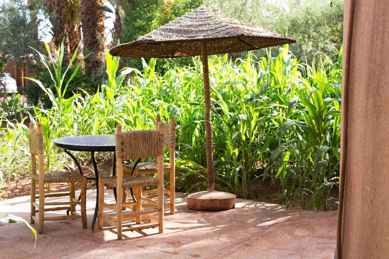 Ecolodge - La Palmeraie - Oda