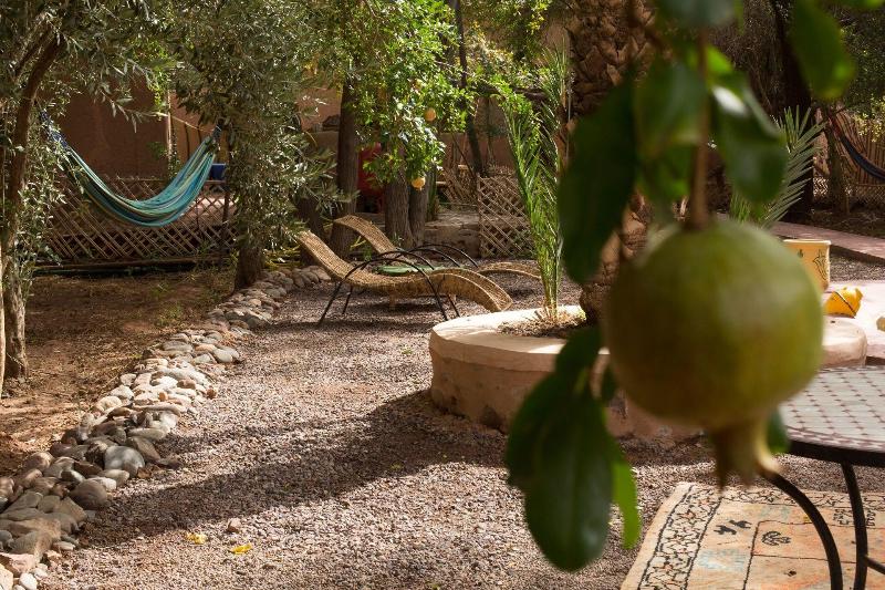 Ecolodge - La Palmeraie - Oda