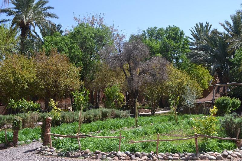 Ecolodge - La Palmeraie - Oda