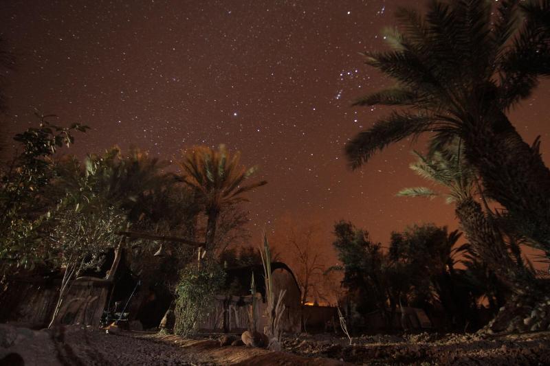 Ecolodge - La Palmeraie - Oda