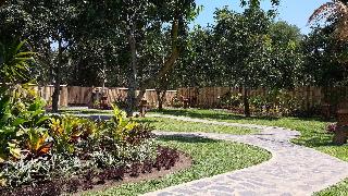 Mango Tree Inn otel fotoğrafı