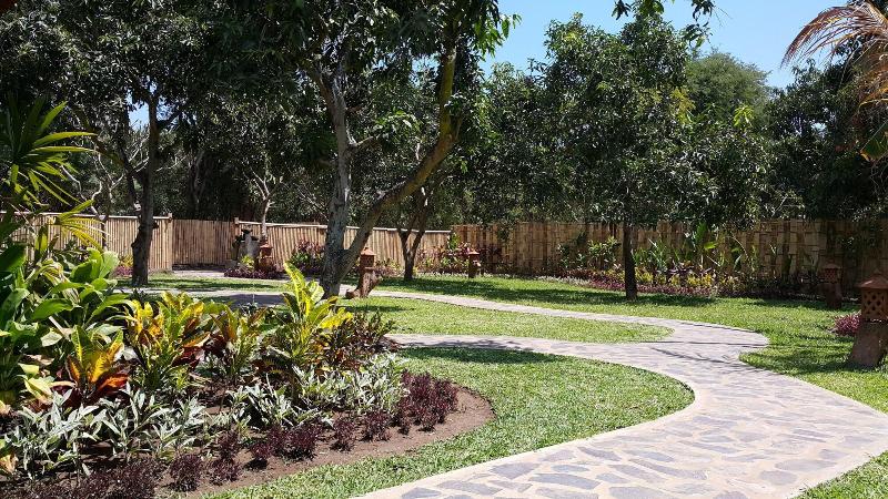 Mango Tree Inn - Genel