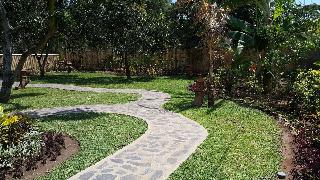 Mango Tree Inn fotoÄŸrafÄ±