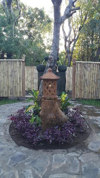 Mango Tree Inn fotoÄŸrafÄ±