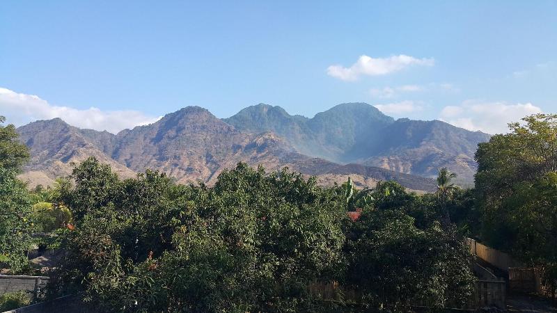 Mango Tree Inn - Oda