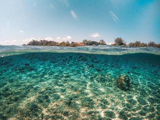 Gili Treehouses fotoÄŸrafÄ±