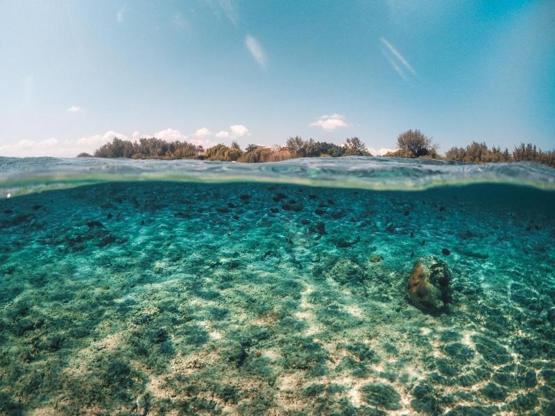 Gili Treehouses - Genel