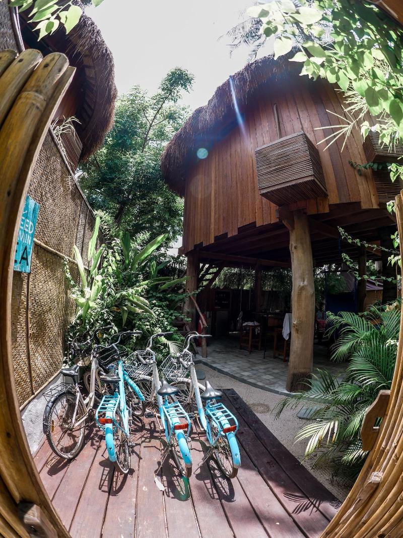 Gili Treehouses - Oda