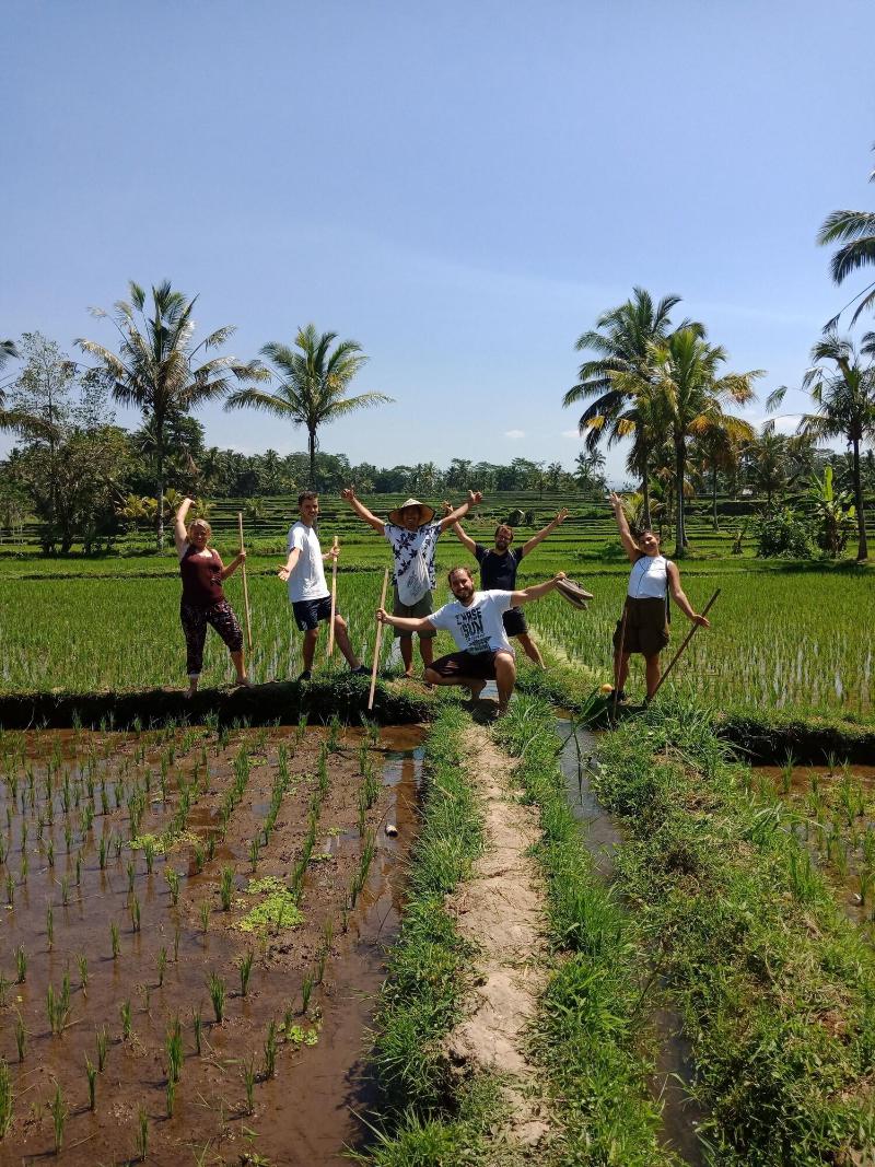Ubud Sawah Homestay - Aktivite