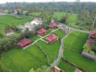 Ubud Sawah Homestay otel fotoğrafı