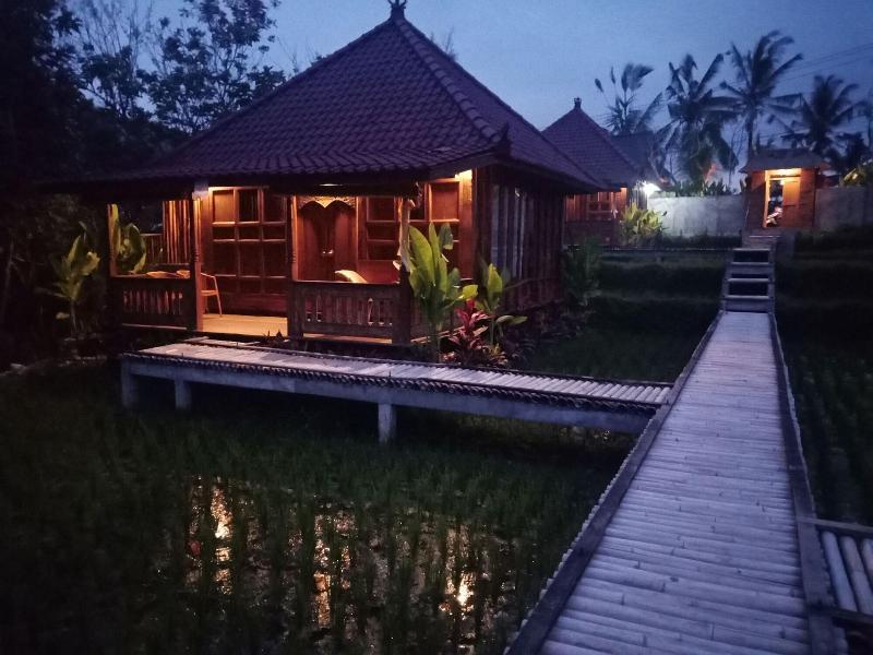 Ubud Sawah Homestay - Genel