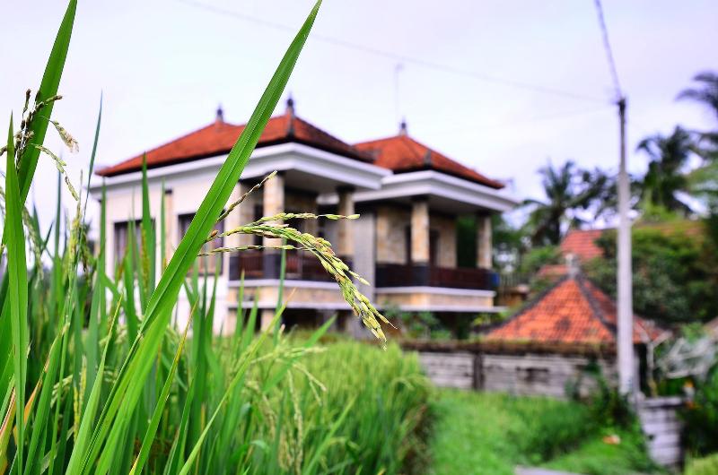 Ubud Sawah Homestay - Genel