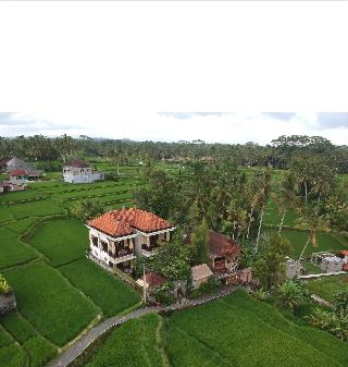 Ubud Sawah Homestay fotoÄŸrafÄ±