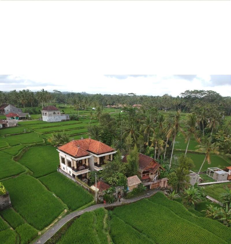 Ubud Sawah Homestay - Genel