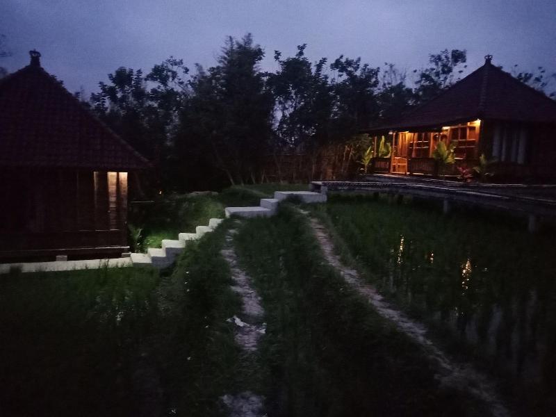 Ubud Sawah Homestay - Genel