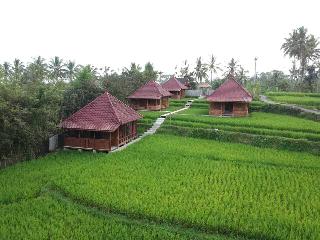 Ubud Sawah Homestay fotoÄŸrafÄ±