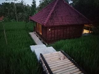 Ubud Sawah Homestay fotoÄŸrafÄ±