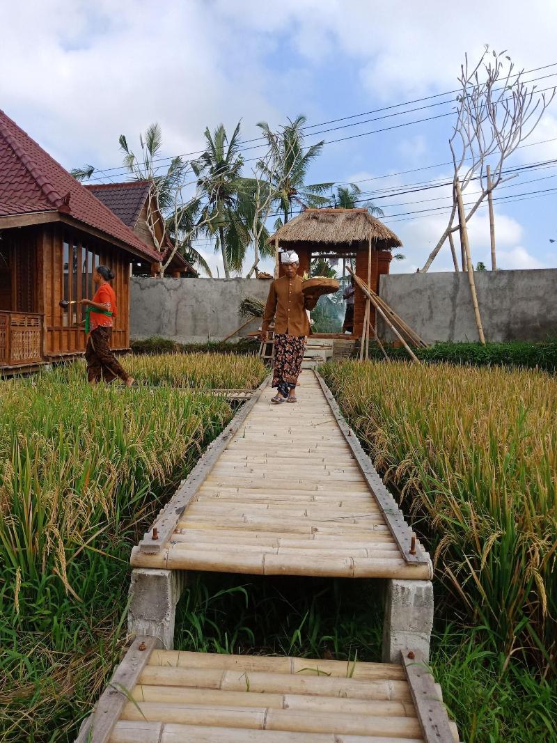 Ubud Sawah Homestay - Oda