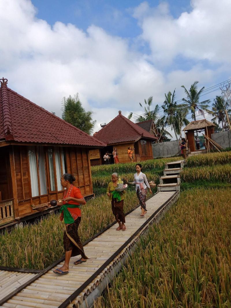 Ubud Sawah Homestay - Oda