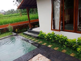 Ubud Sawah Homestay fotoÄŸrafÄ±