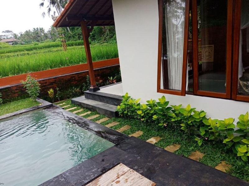 Ubud Sawah Homestay - Teras