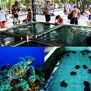 Sari Laut fotoÄŸrafÄ±