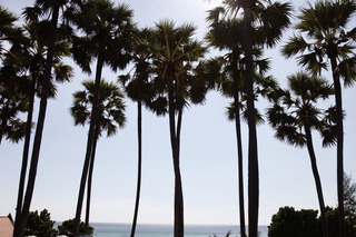 Woraburi Phuket Resort & Spa fotoÄŸrafÄ±