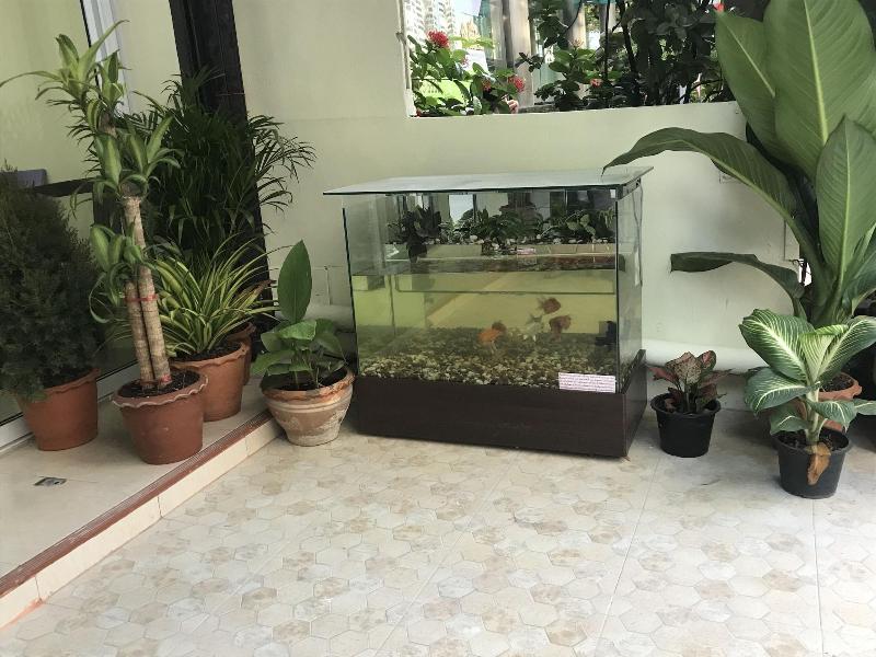 Harry's Residence - Teras
