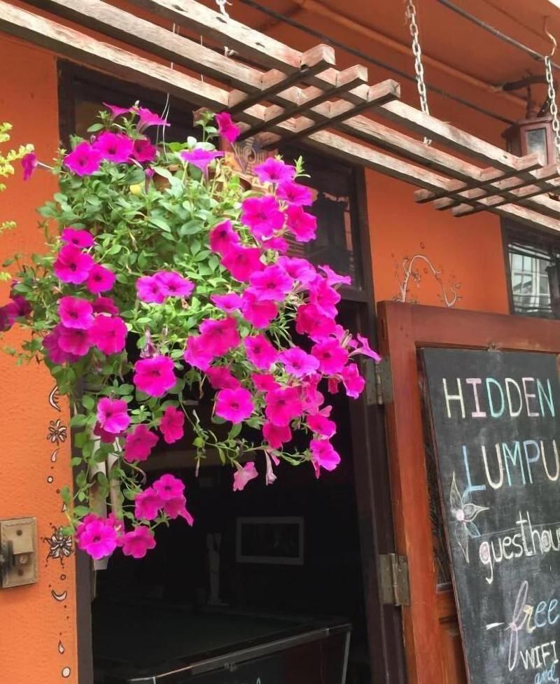 Hidden Lumpu - Genel