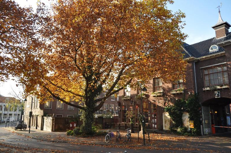 Hotel De Plataan Delft Centrum - Genel